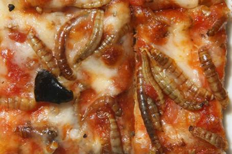 Pizza aux insectes