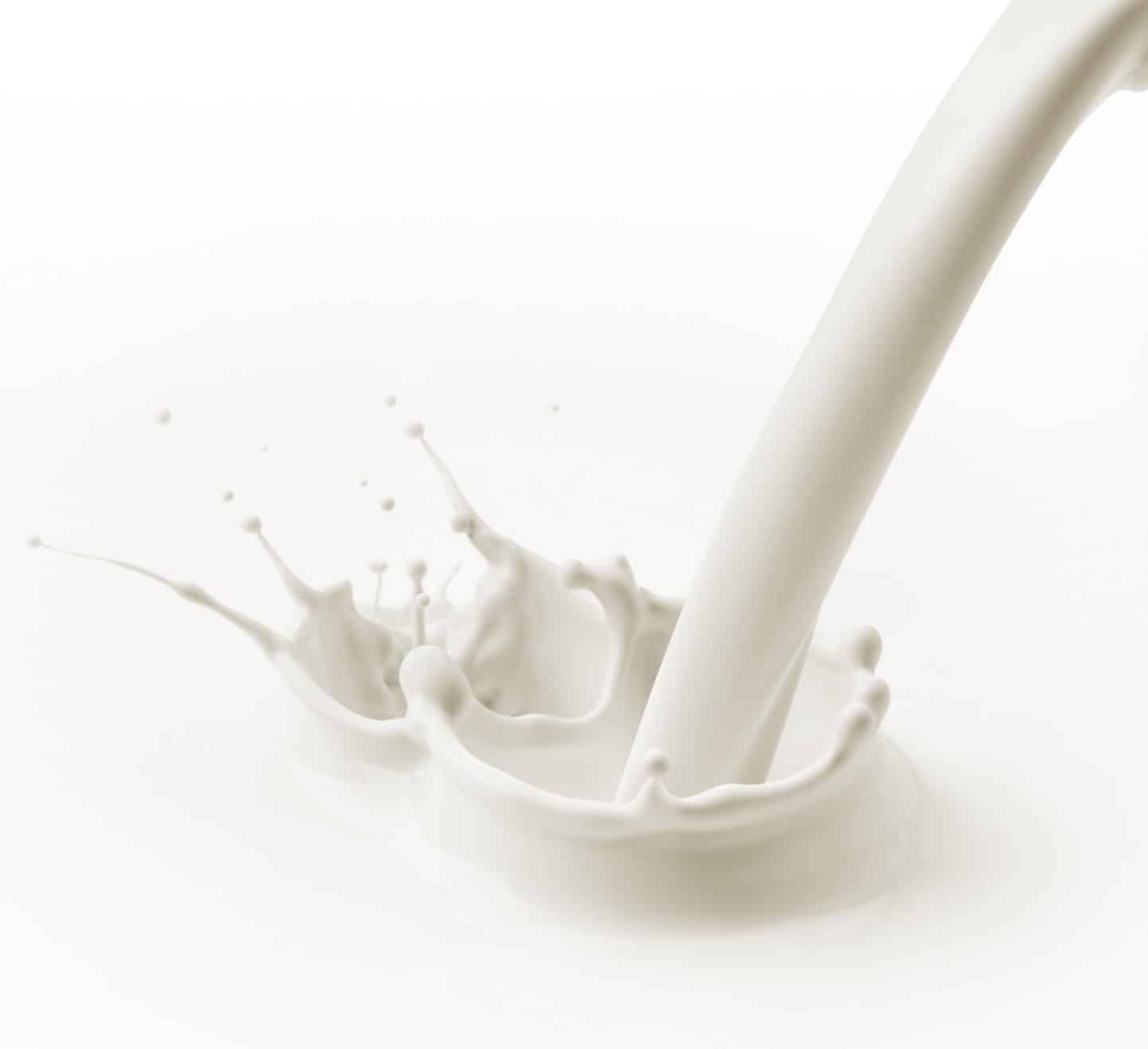 Dans le lait, ça tourne au vinaigre. Dans le lait, ça tourne au vinaigre.