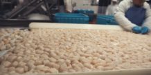 IBM Food Trust veut améliorer la traçabilité des produits de la mer IBM Food Trust veut améliorer la traçabilité des produits de la mer