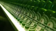 Diageo et Heineken négocient la restructuration de leurs activités brassicoles en Afrique