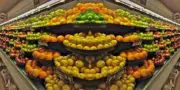 La Tunisie inaugure la plus grande station frigorifique de conditionnement de fruits du continent