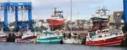 Pêche : impacts insoupçonnés de l&rsquo;interdiction du rejet des poissons