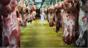 Viande : La FNB demande au ministre de l&rsquo;Agriculture de prendre des mesures  exceptionnelles pour contrer la crise