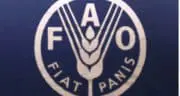 Agroalimentaire : les prix mondiaux baissent encore en janvier 2015