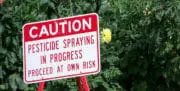 Insecticides : Néonicotinoïdes, toute nouvelle interdiction reportée à l’horizon 2018