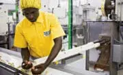 L&rsquo;Afrique, futur eldorado de l&rsquo;agroalimentaire ?