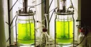 L&rsquo;Académie des technologies s&rsquo;interroge sur l&rsquo;avenir des biotechnologies blanches en France