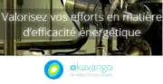 L&rsquo;Institut Okavango dévoile les 5 finalistes des trophées de la performance énergétique des IAA 2015