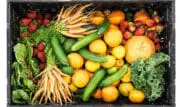 Gelagri et Système U s&rsquo;engagent sur une gamme de légumes surgelés premium