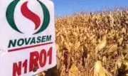 Semences de France rachète 100 % des parts de l&rsquo;italien Novasem