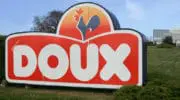 Le groupe Doux se défend après la diffusion d&rsquo;une vidéo dans ses élevages volaillers