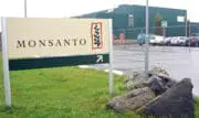 Mosanto : Bayer signe un accord pour la vente de ses activités agrochimiques à BASF