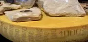 Parmesan et Grana Padano : CIWF dénonce les dessous de ces produits d’excellence