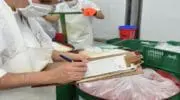@Gro Virtu’ose, un outil partage pour redynamiser la formation professionnelle du secteur agro-alimentaire