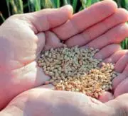 Océalia prépare l&rsquo;avenir et s&rsquo;engage pour une offre alimentaire durable