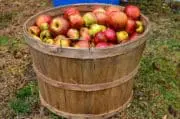 Cidre : Le CIF demande à ce que l&rsquo;appellation «traditionnel» soit contrôlée