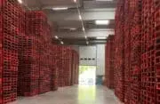 Transport et Logistique :  Optimiser la gestion des palettes