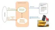 Des baguettes et des biscuits traçables du champ à l’assiette