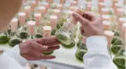 L&rsquo;alimentaire, le nouveau positionnement de marque de la start-up foodtech Algama