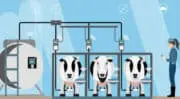 AgTech : Kersia rejoint Connecterra pour développer une agriculture nouvelle