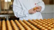 Roullier fait l&rsquo;acquisition d&rsquo;Alysse Food et renforce son pôle agroalimentaire