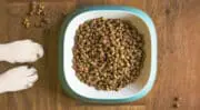 Petfood : Corbion et IQI étendent la distribution d&rsquo;algues riches en oméga-3 sur les marchés européens