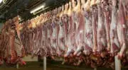 L&rsquo;appel à projet pour la modernisation des abattoirs est lancé