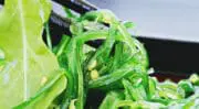 Vinpai Food fait le choix de l&rsquo;alliance algues marines et fibres végétales comme ingrédients naturels du futur