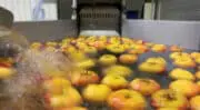 22 nouvelles PME intègrent l’Accélérateur Agroalimentaire