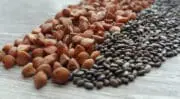 Avec ProteiNEW, Protéines France veut faire de la France un leader des protéines