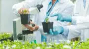 L&rsquo;industrie agroalimentaire chilienne parie sur le big data et l&rsquo;intelligence artificielle
