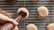 Callebaut lance NXT, une nouvelle génération de chocolats sans produit laitier et d&rsquo;origine végétale