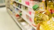 Pénurie de tournesol pour l&rsquo;industrie agroalimentaire ?