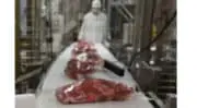 Conditionnement des produits carnés : L’automatisation a le vent en poupe
