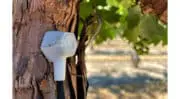 AgTech : Treetoscope étend l&rsquo;accès géographique de sa plateforme de gestion de l&rsquo;irrigation      
