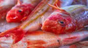 Seafood Expo Global revient à Barcelone pour réunir l&rsquo;industrie mondiale des produits de la mer