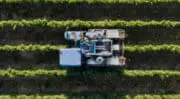 Agritech : 490 millions d’euros levés en 2022 pour répondre aux enjeux mondiaux