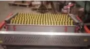 Un scanner 3D au service de la récolte des carottes des Landes