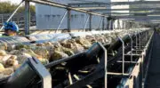 Décarbonation et eau : Cristal Union s’engage à réduire de 23% ses émissions de gaz à effet de serre d&rsquo;ici à 2030 et à ne plus prélever d&rsquo;eau en milieu naturel 