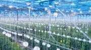 Agritech en France : un sol propice en 2024 à l’essor d’une agriculture connectée