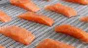 CFIA 2024 : Messer France présente ses solutions novatrices aux défis de l&rsquo;avenir alimentaire