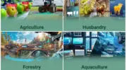 L&rsquo;agriculture de précision basée sur l&rsquo;IA simplifiée grâce aux ordinateurs Neousys NVIDIA® Jetson