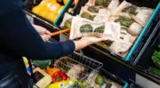 Sainsbury&rsquo;s lance un emballage sans plastique pour les avocats