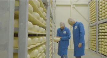 Comment le producteur de fromage de chèvre Amalthea a intègré Infor Coleman AI dans sa fabrication
