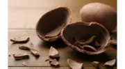 Pâques 2024, un enjeu clé pour les professionnels du chocolat