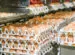 Marché de l’œuf : Une demande en plein essor !
