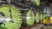 FAC Capital annonce un investissement de 2 milliards de dollars pour dynamiser l’innovation agroalimentaire au Canada