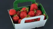 Des fraises plus fraîches, plus longtemps : Quand le carton devient intelligent