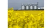 Le groupe Sofiprotéol devient Avril : Une nouvelle étape stratégique pour les filières huiles et protéines