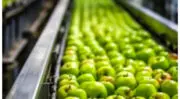 BIO-UV Group mise sur l&rsquo;ozone pour optimiser la gestion de l&rsquo;eau dans l&rsquo;agroalimentaire